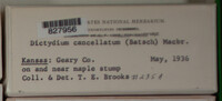 Image Associated With the Occurence